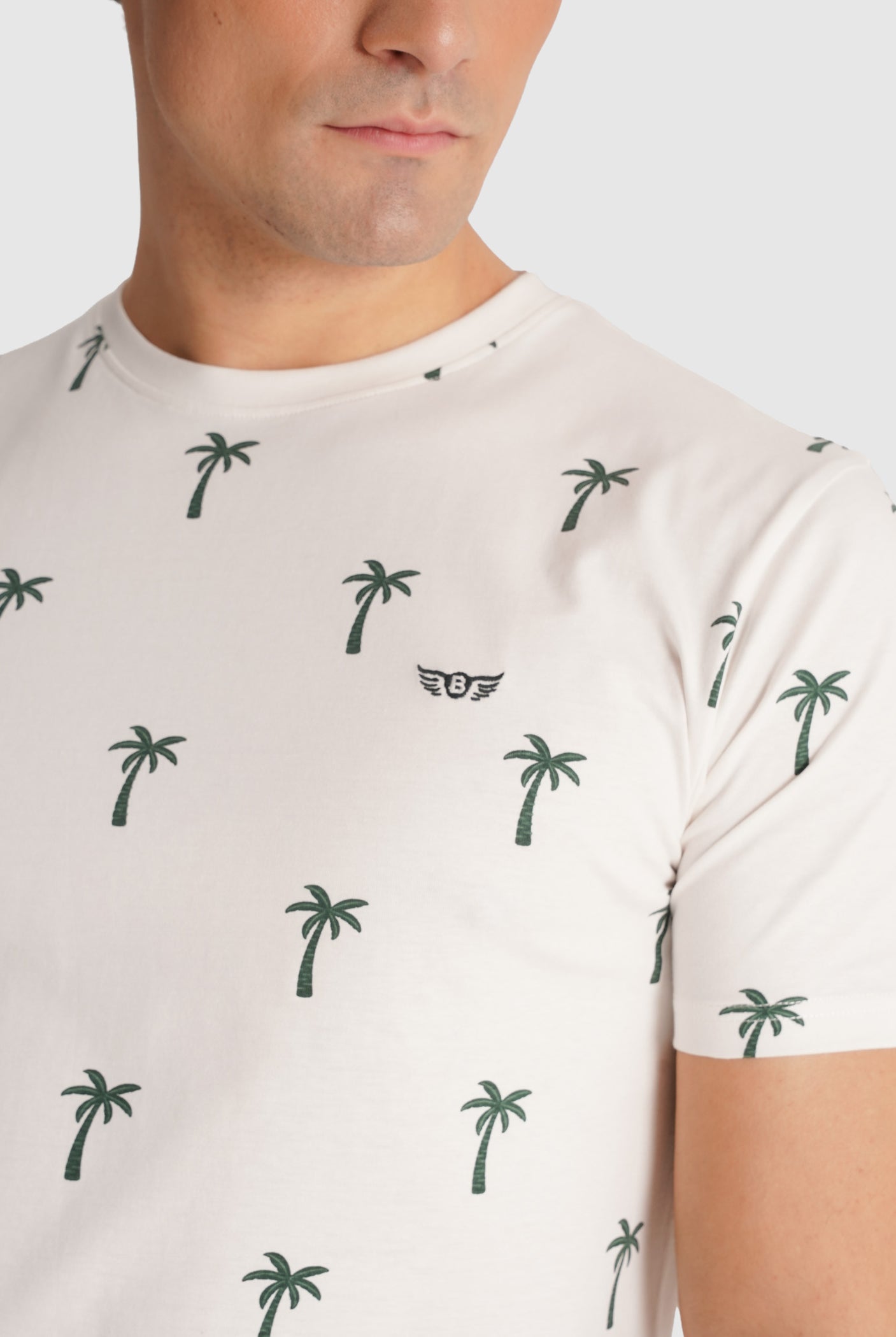 RAW T-SHIRT SHORT SLEEVE REGULAR FIT MR. BLUE