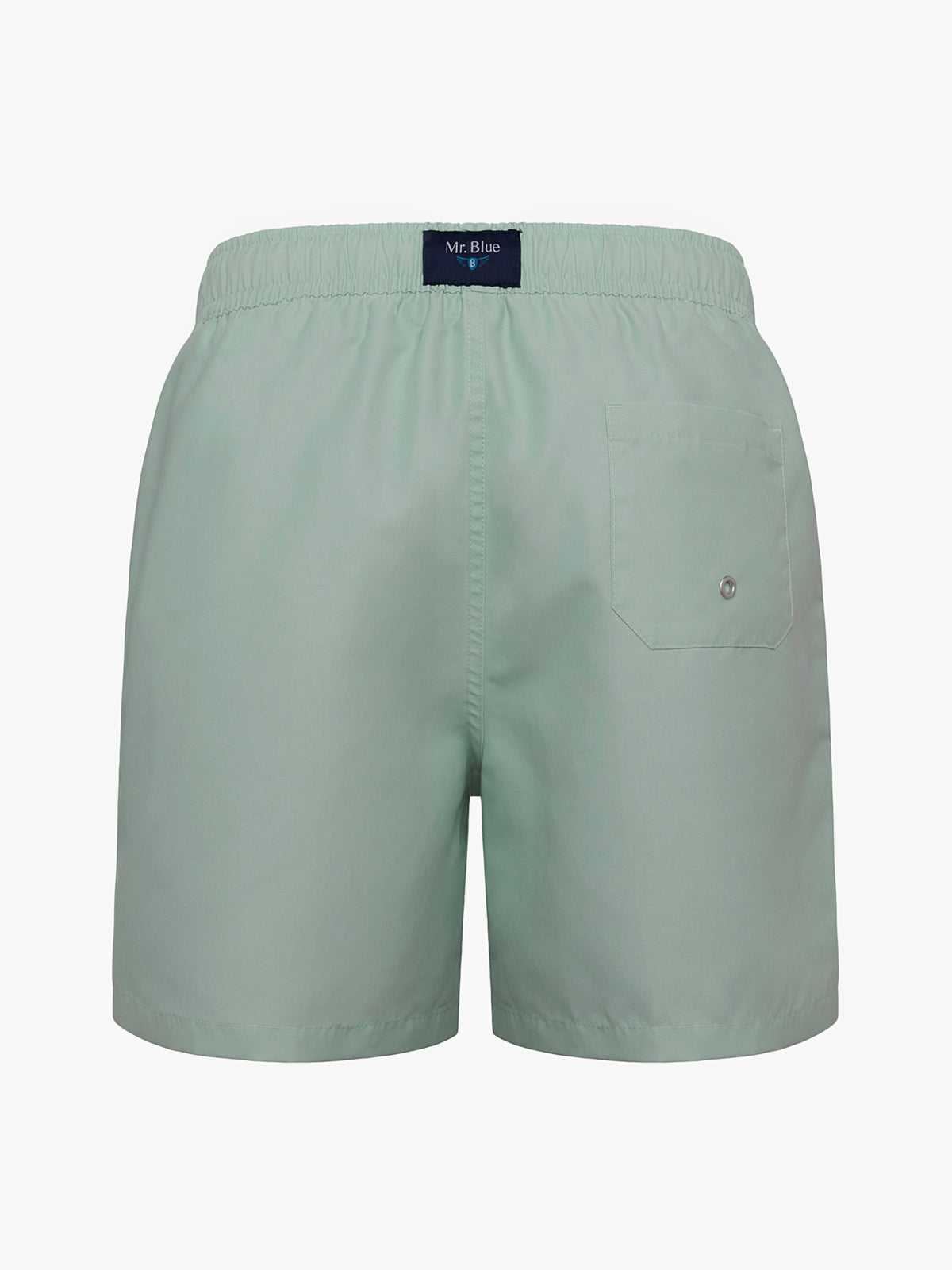 Mr. Blue Classic Green Swimsuit