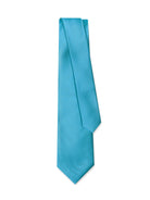 REGULAR FIT MR. BLUE TIE BLUE