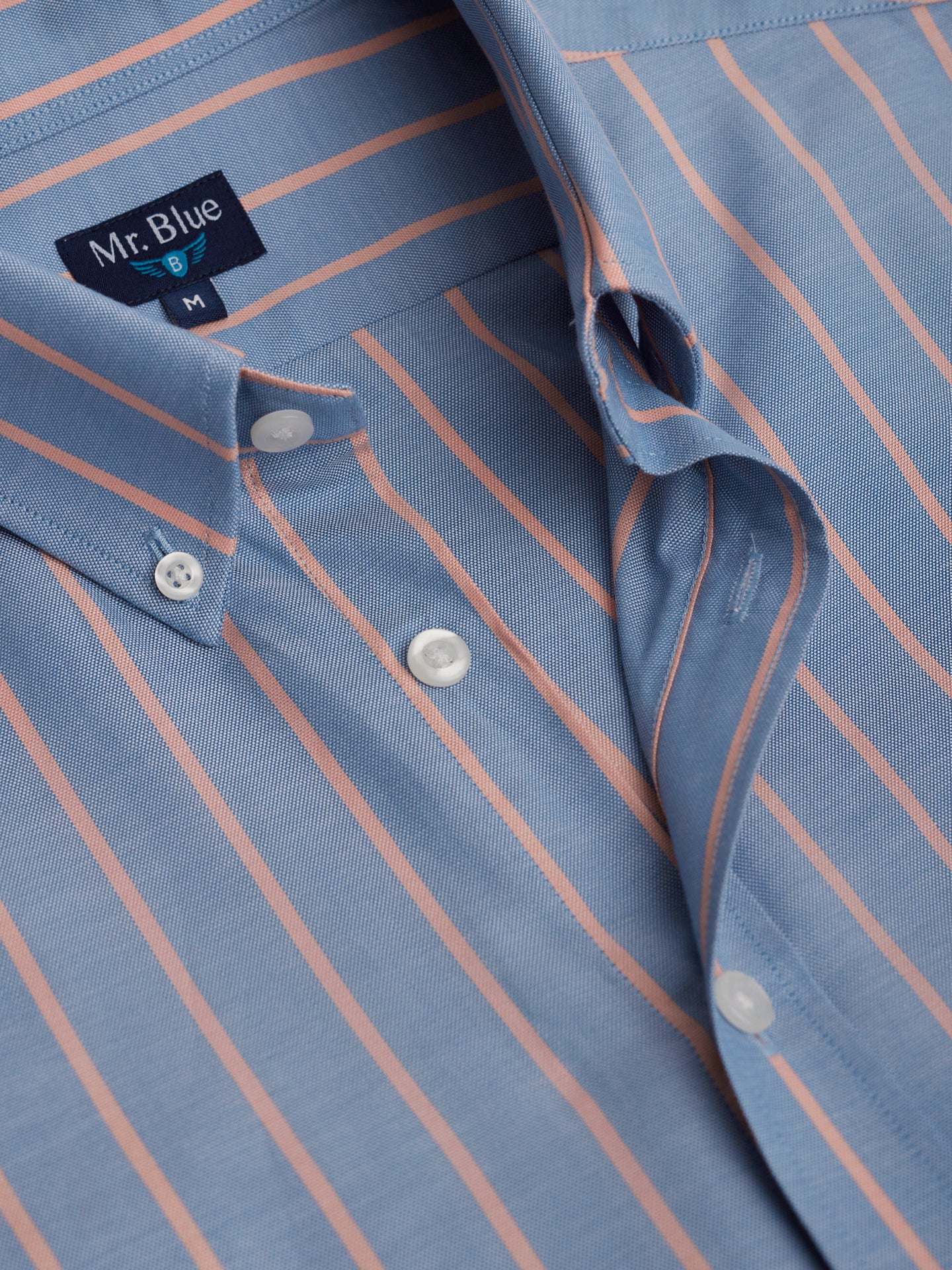 Camisa Regular Fit Oxford Azul Mr. Blue