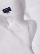 CAMISA MR BLANCA REGULAR FIT. AZUL
