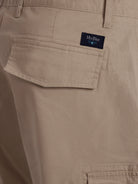 Regular Fit Beige Mr. Blue Shorts