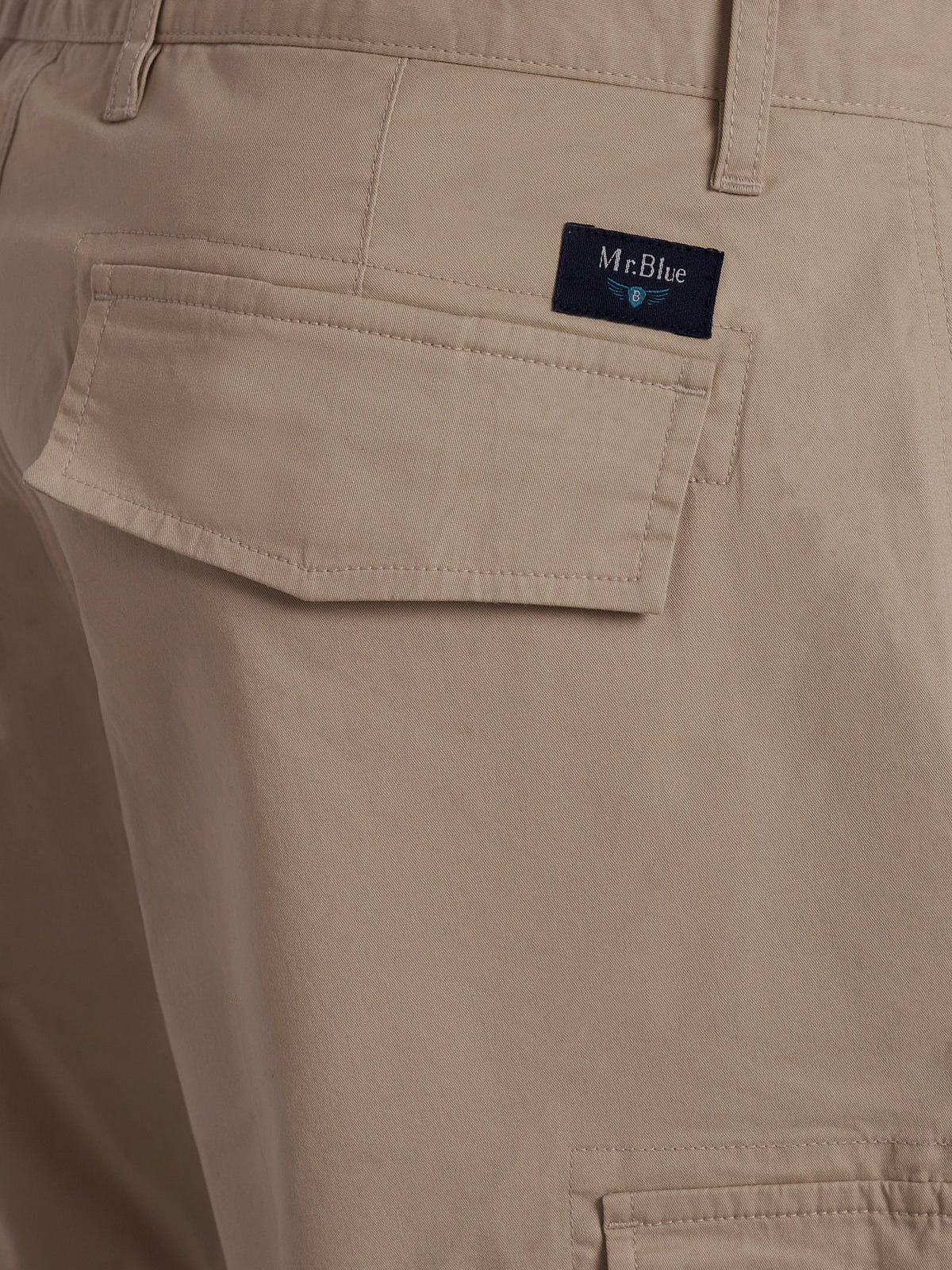 Regular Fit Beige Mr. Blue Shorts