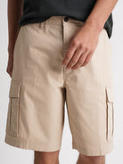 Regular Fit Beige Mr. Blue Shorts
