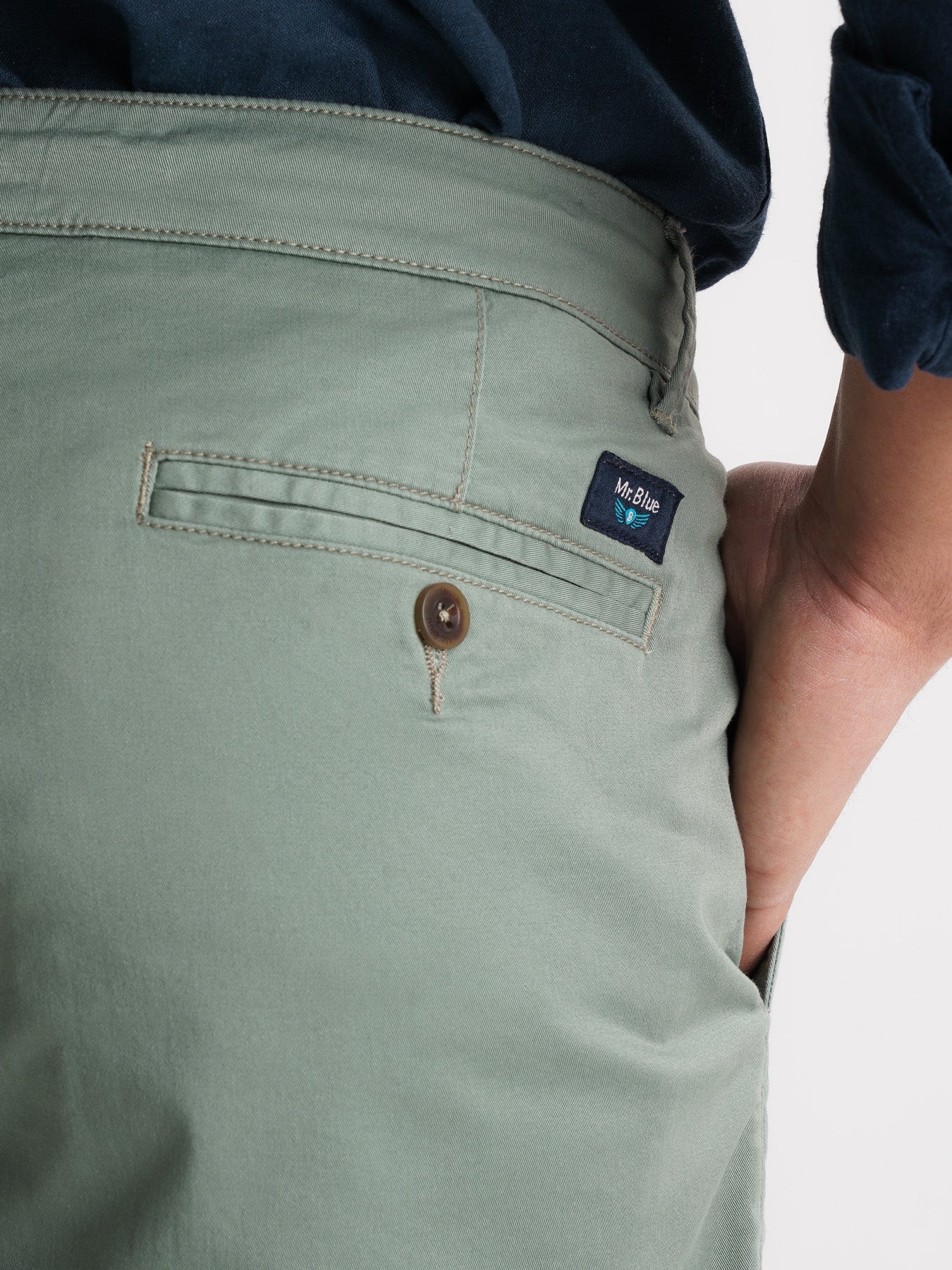 Mr. Blue Regular Fit Green Shorts