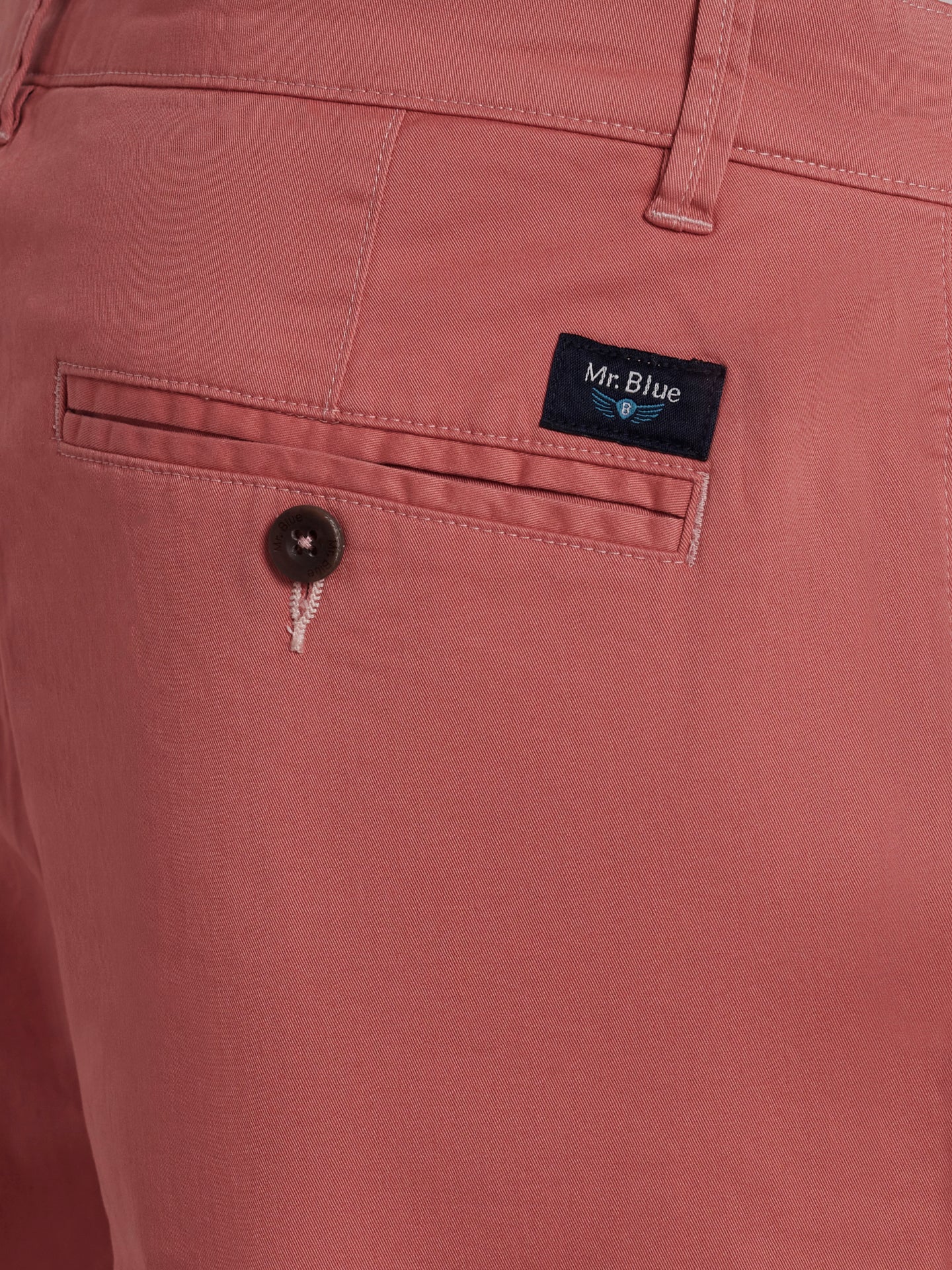 Regular Fit Pink Mr. Blue Shorts